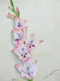 Anna Maślakiewicz-Brzozowska, Gladiola, akwarela, papier