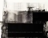 Natalia Andrzejewska, Omszałe 4, 2016, 2016, technika własna, płótno