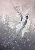 Amonaria Magda Maciaszek, Splash woman 2, 2016, 2016, akryl, płótno