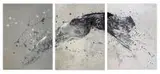 Amonaria Magda Maciaszek, Splash woman 4, 2016, 2016, tryptyk, akryl, płótno