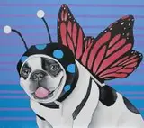 Marcin Błach, Butterfly1, 2016