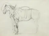 Piotr Michałowski, Studium konia