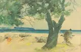 Marian Mokwa, Drzewo na brzegu, 1935 r.