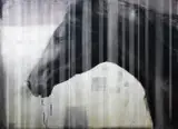 Sławomir Wojtkiewicz, Generative Horse 2, 2016, 2016, akryl, płótno