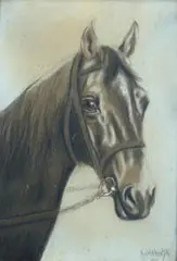 M. Jankowski, Koń, 1912 r., 1912, pastel, papier