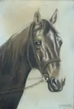 M. Jankowski, Koń, 1912 r., 1912, pastel, papier
