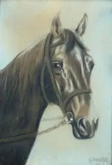 M. Jankowski, Koń, 1912 r., 1912, pastel, papier