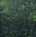 Martyna Borowiecka, Trawa z cyklu "Wokół mnie", 2012, 2012, olej, płótno