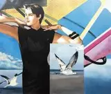 Renata Godlewska, Mewy, olej, płótno