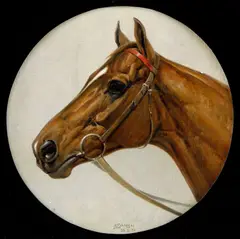 Hans Schlegel, Hlava koňa, 1930, olej na plátne