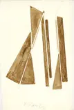 László Moholy-Nagy, Geometrická kompozícia III.