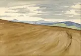 Imro Weiner-Kráľ, Polia