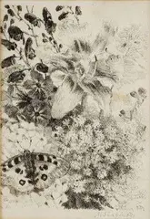 Kvety a motýľ by Max Švabinský, okolo 1955, litografia na papieri, sold Mar 2006