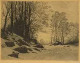 Viktor Olgyay, Zimný les, okolo 1900, lept na papieri nečíslované