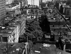 Eliot Elisofon, Bez názvu, Rok vzniku negatívu: 40. roky Rok vzniku pozitívu: 40. roky, čiernobiela fotografia