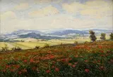 Edmund Gwerk, Pole s makovicami