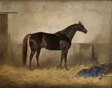 Franz Reichmann, Kôň v stajni (Bálvány), 1891, olej na plátne