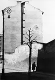 Vilém Reichmann, Bez názvu, 1946, čiernobiela fotografia