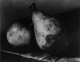 Zátišie podľa Navrátila by Josef Sudek, 1958, čiernobiela fotografia, sold Nov 2004