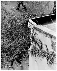 André Kertész, Walking, 1940, čiernobiela fotografia