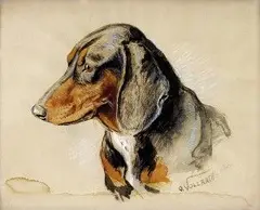 Otto Vollarth, Hlava psa, 1900, pastel, akvarel, kresba ceruzou na papieri