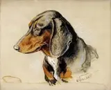 Otto Vollarth, Hlava psa, 1900, pastel, akvarel, kresba ceruzou na papieri