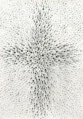 Rudolf Sikora, Energia kríža, 1982, kresba a fotografia na papieri