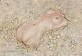 Igor Ondruš, Aha, detičky.....guličky, 2004, olej na plátne