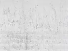 Willem Boshoff, Highveld, etching on paper