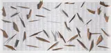 Willem Boshoff, Dubul' Ibhunu (Kill the Boer), 2011, collage and imbuia wood on board
