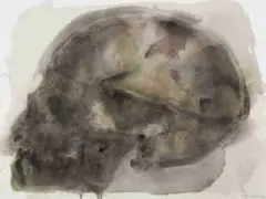 Joni Brenner, Skull Series (III), watercolour on paper