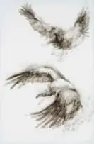 Diane Victor, Threatened Lives (Cape Vulture), 2021, candle smoke on paper