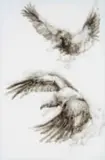 Diane Victor, Threatened Lives (Cape Vulture), 2021, candle smoke on paper