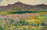 Hugo Naude, Namakwaland (Namaqualand), oil on wood panel