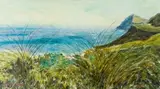 Alice Elahi, Grasses in the Wind, Cape Point, 1998, oil on canvas