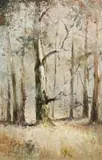 Christopher Tugwell, Forest, oil on canvas laid down on board