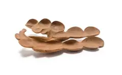 Geoffrey Armstrong, Segmented Organic Form, carved wood