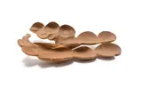 Geoffrey Armstrong, Segmented Organic Form, carved wood
