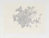 Mongezi Ncaphayi, Streams of Consciousness V, 2013, screenprint on paper
