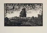 Jan Maanda Tshikhuthula, Udi Imisa, 2013, linocut on paper