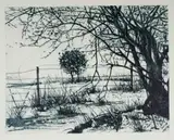 Phillemon Hlungwani, Ihomu Yale Hosini Wayikhayima, 2008, drypoint on paper