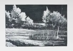 Kulozwee by Phillemon Hlungwani, 2008, monotype on paper, offered Apr 2026