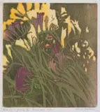 Alice Goldin, Freesias, 1976, woodcut on tissue paper