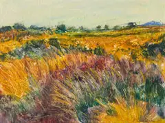 Alice Elahi, Grasses in Dawn Wind, Grunau Namibia, 2001, watercolour on paper