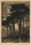 Nita Spilhaus, Cape Firs, etching on paper laid down on board