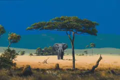 Paul Munro, Elephant in the Bushveld, oil on canvas laid down on board