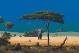 Paul Munro, Elephant in the Bushveld, oil on canvas laid down on board