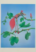 Norman Catherine, The Rare Gaboob, from A Tribute to King Ferd III portfolio, colour photolithograph on paper
