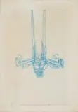 Nils Burwitz, Gymnast, 1980, etching on paper