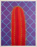 Norman Catherine, Red Fetish